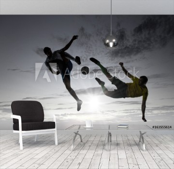 Picture of Silhouettes of two soccer players